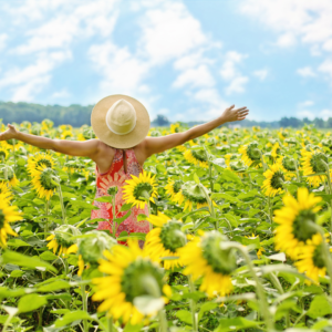 Joy in Sunflower field
