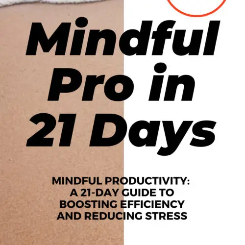 Mindful Pro Cover